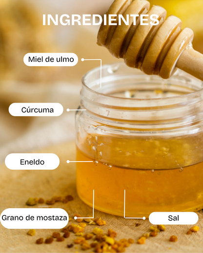 Mostaza con Miel de Ulmo 145g
